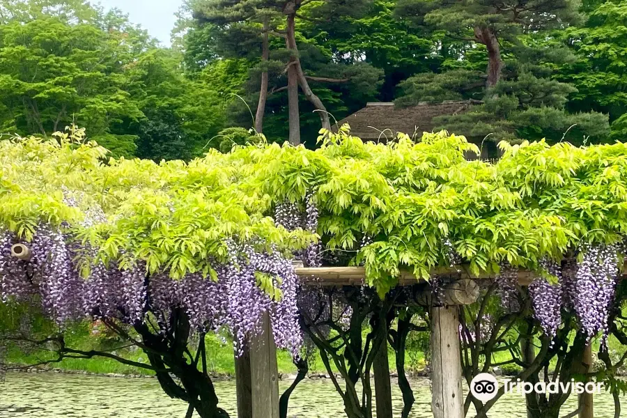 Kasumigajo Castle Park