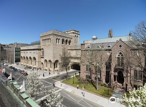 耶魯大學美術館