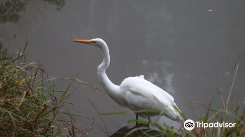 El Dorado Nature Center