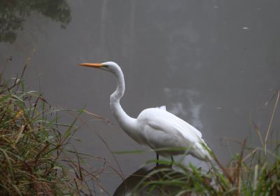 El Dorado Nature Center