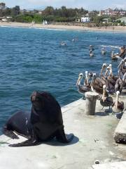 Caleta De Guanaqueros