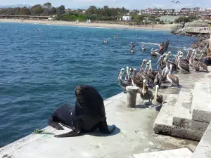 Caleta De Guanaqueros