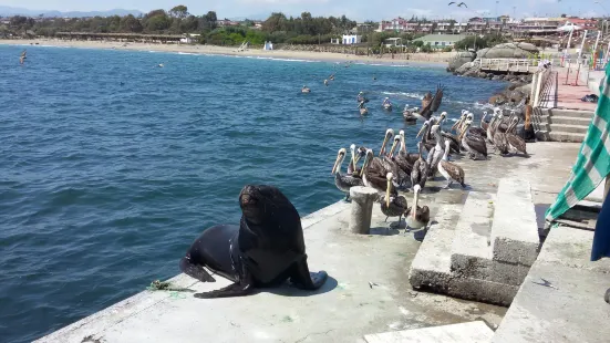 Caleta De Guanaqueros