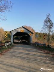 Pont Couvert - Pont des Draveurs