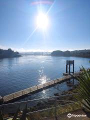 Praia Fluvial do Areinho