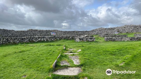 Caherconnell Stone Fort & Sheepdog Demonstrations