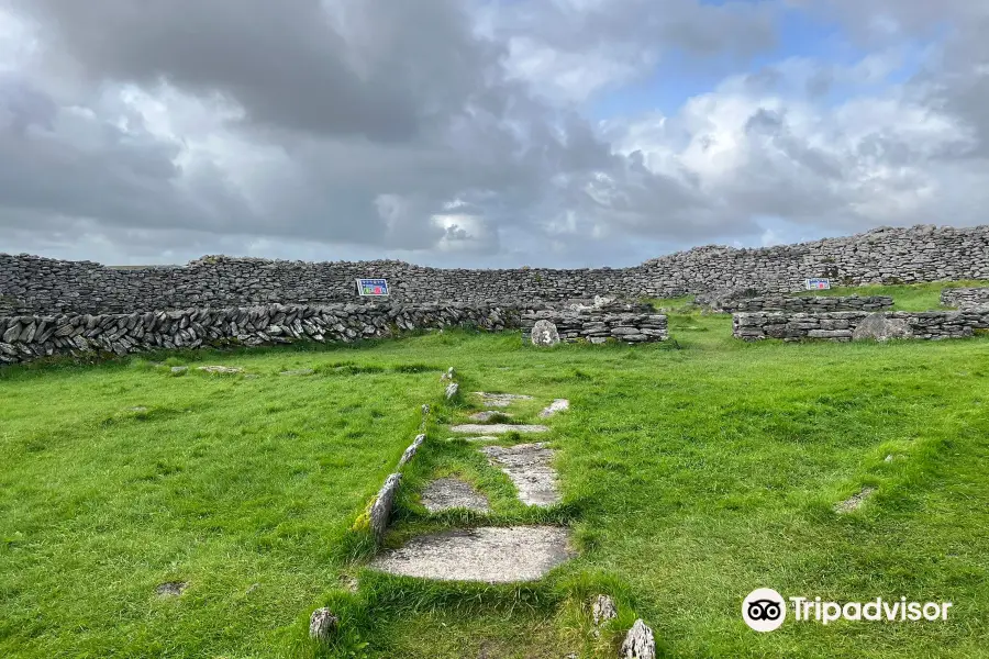 Caherconnell Stone Fort & Sheepdog Demonstrations