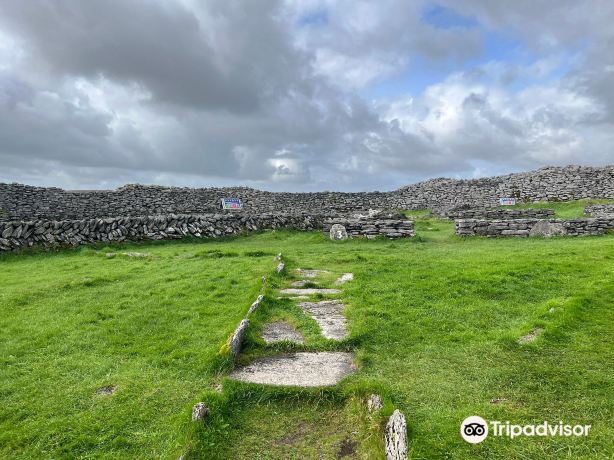 Caherconnell Stone Fort & Sheepdog Demonstrations
