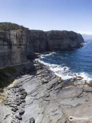 Waterfall Bay Track