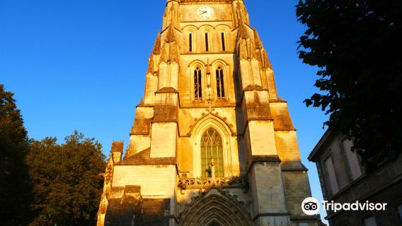 Saint Peter's Cathedral of Saintes