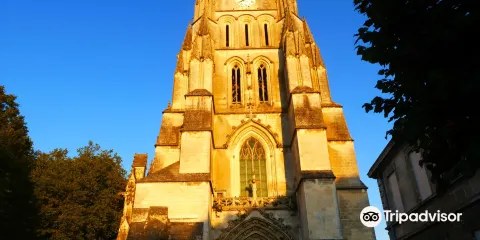 Cathédrale Saint-Pierre