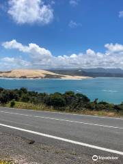 Harrison Cape Reinga Tours