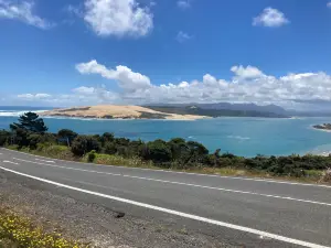 Harrison Cape Reinga Tours