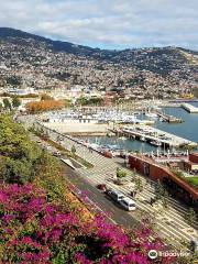 Giardino Botanico di Madeira