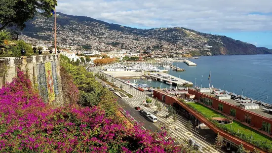 Giardino Botanico di Madeira