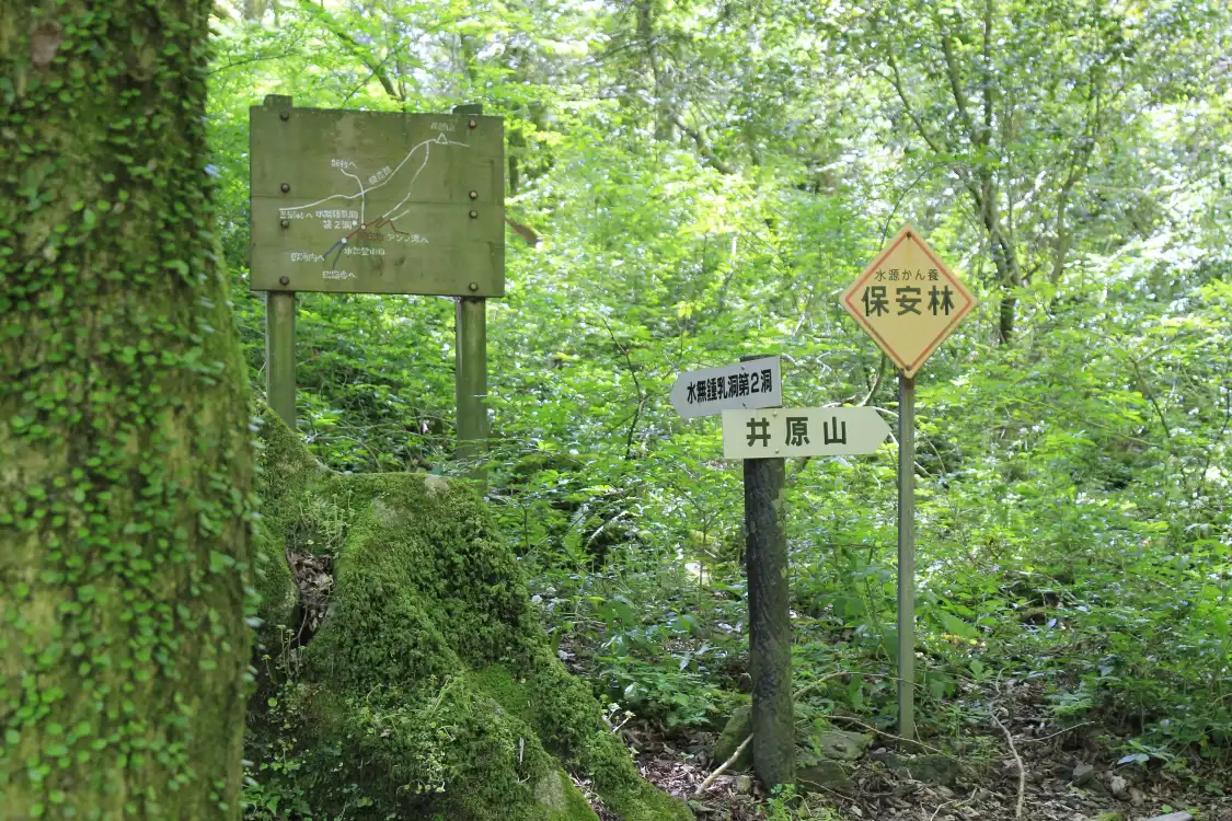 Hotels near Mt. Iwara