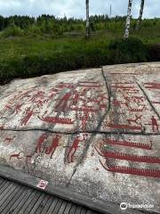 incisioni rupestri a Tanum