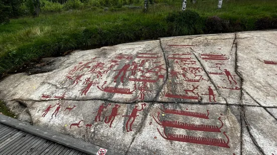 Rock Carvings in Tanum