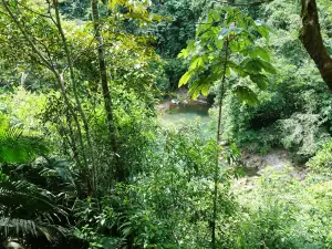 Canon del Rio Claro