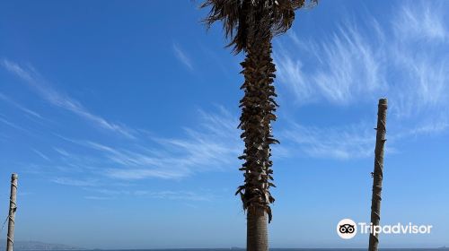 Playa Renaca