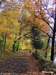 Rockefeller State Park Preserve