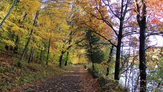 Rockefeller State Park Preserve