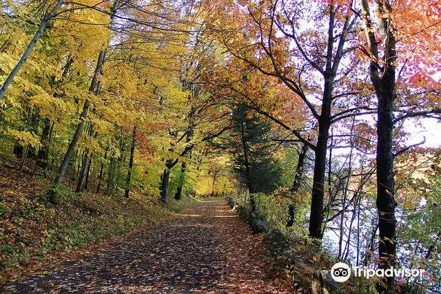 Rockefeller State Park Preserve