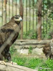 Karaganda State Zoo