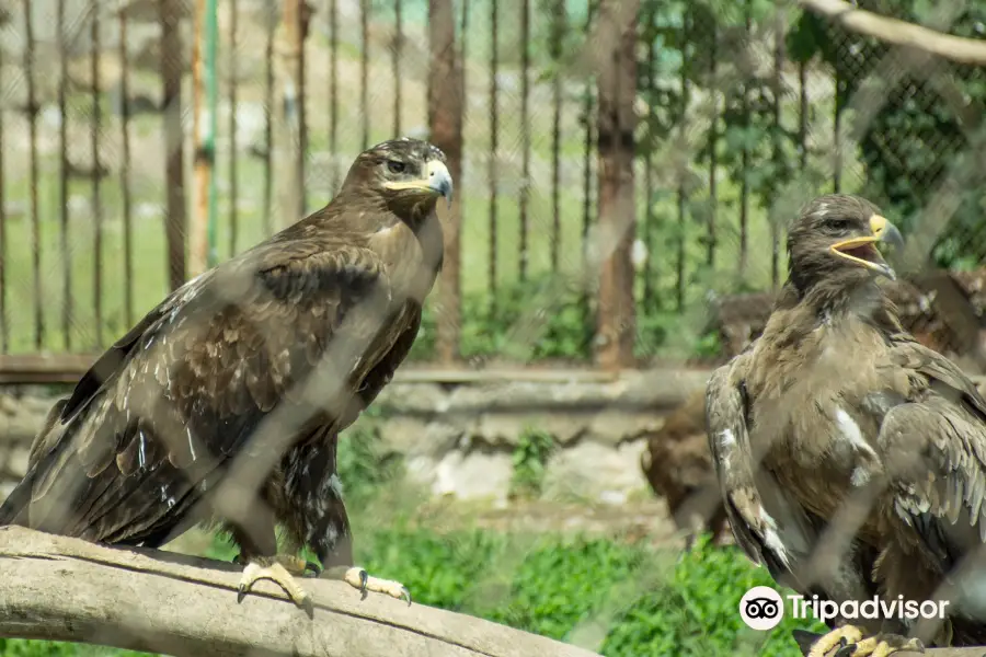 Karaganda State Zoo