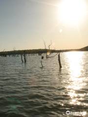 Okmulgee and Dripping Springs Lake and Recreation Area