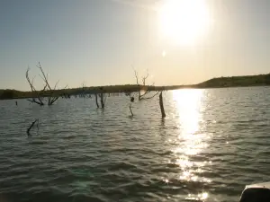 Okmulgee and Dripping Springs Lake and Recreation Area