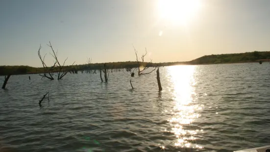 Okmulgee and Dripping Springs Lake and Recreation Area