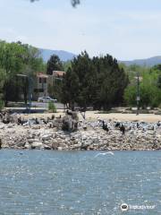 Virginia Lake Park Playground