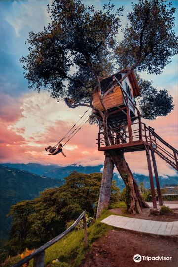 La Casa del Arbol