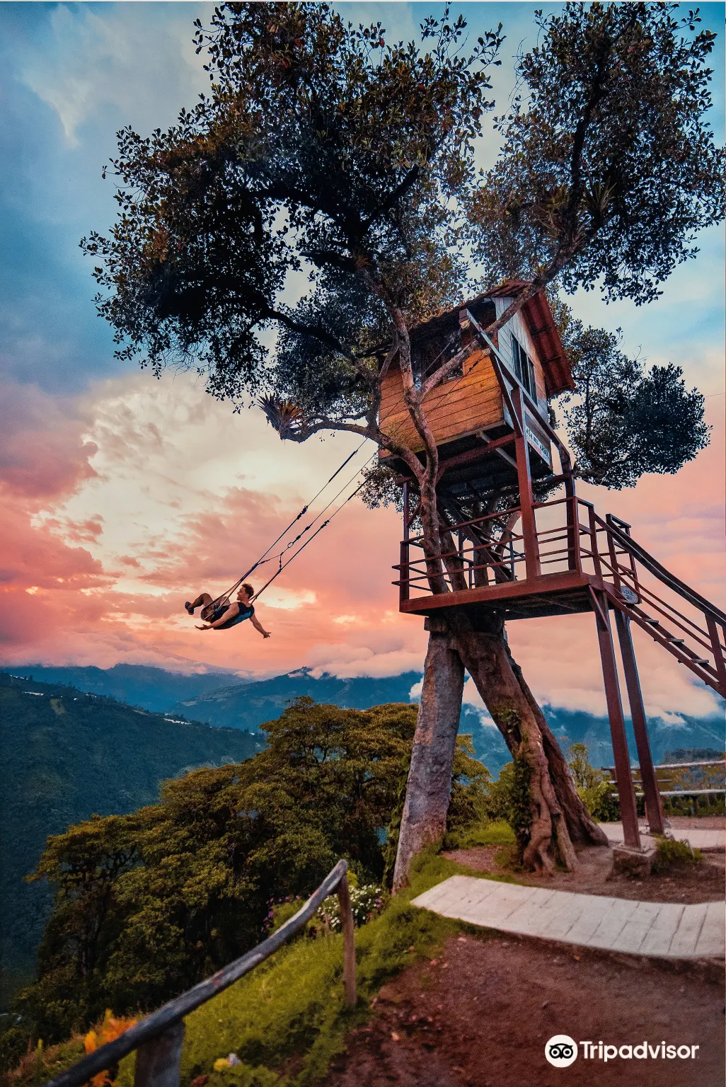 La Casa del Arbol