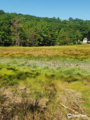 Salt Bay Heritage Trail