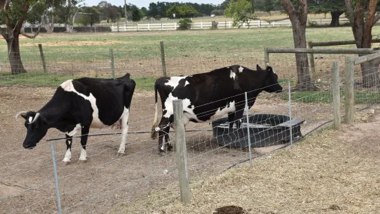 Animal Land Children's Farm