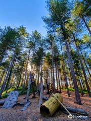 Moors Valley Country Park and Forest