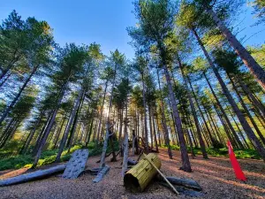 Moors Valley Country Park and Forest