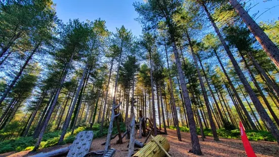 Moors Valley Country Park and Forest