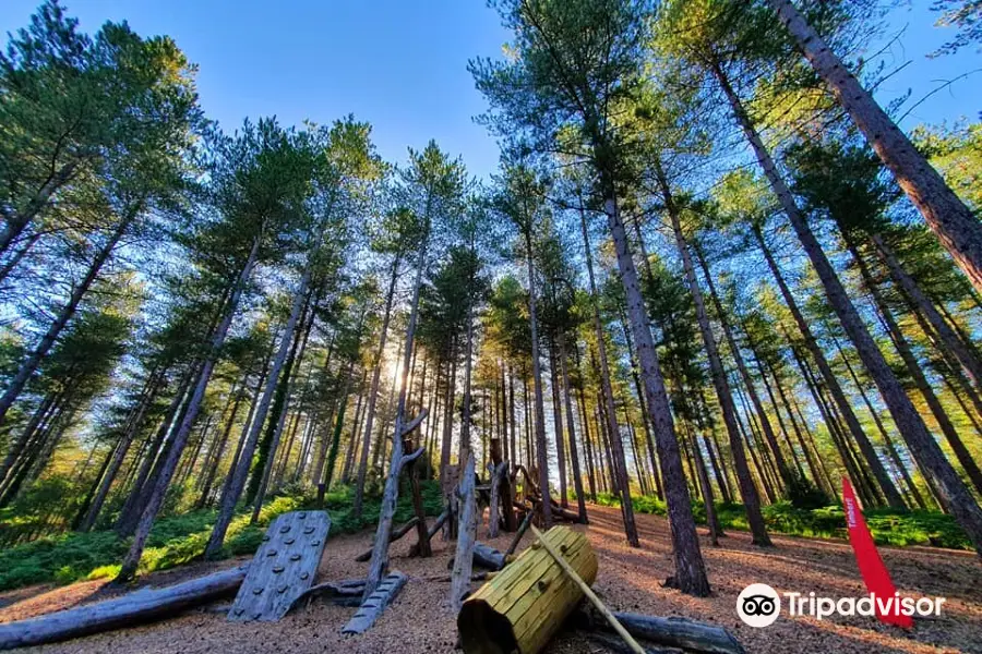 Moors Valley Country Park & Forest