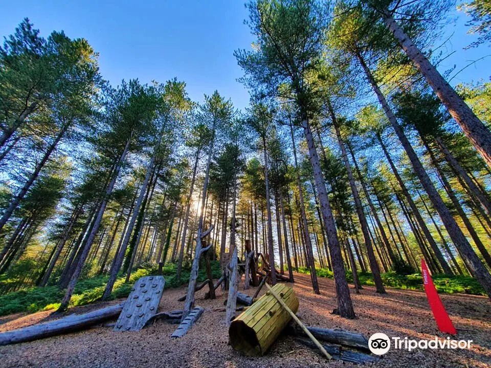Moors Valley Country Park & Forest