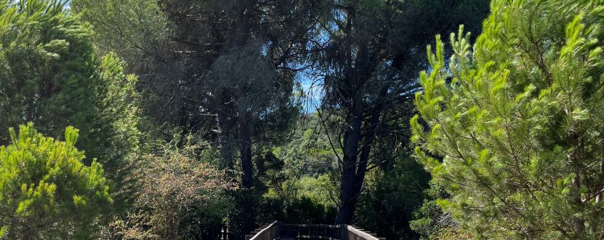 Parque Ecologico do Gameiro