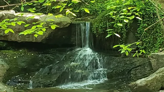 Cascade Springs Nature Preserve