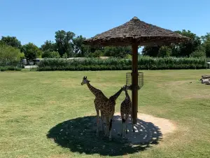 フランク・バック動物園