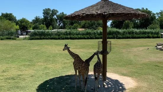 フランク・バック動物園