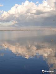 Valli di Comacchio - Servizi Turistici