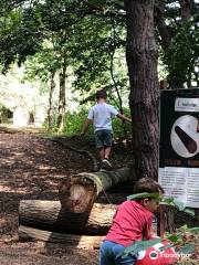 Holdfényliget - Adventure Park in the foothills of the Alps