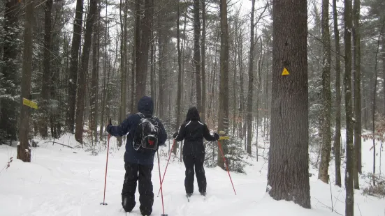 Windblown Cross Country Skiing and Snowshoeing