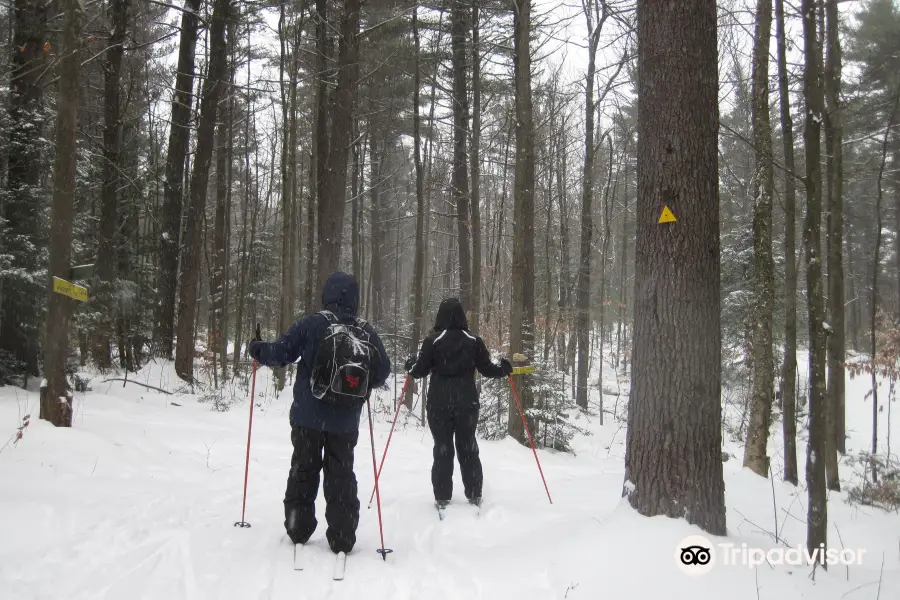 Windblown Cross Country Skiing and Snowshoeing